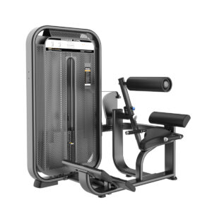 Back Extension TP-4013