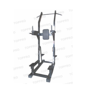 CHIN DIP LEG RAISE TP-CL-01
