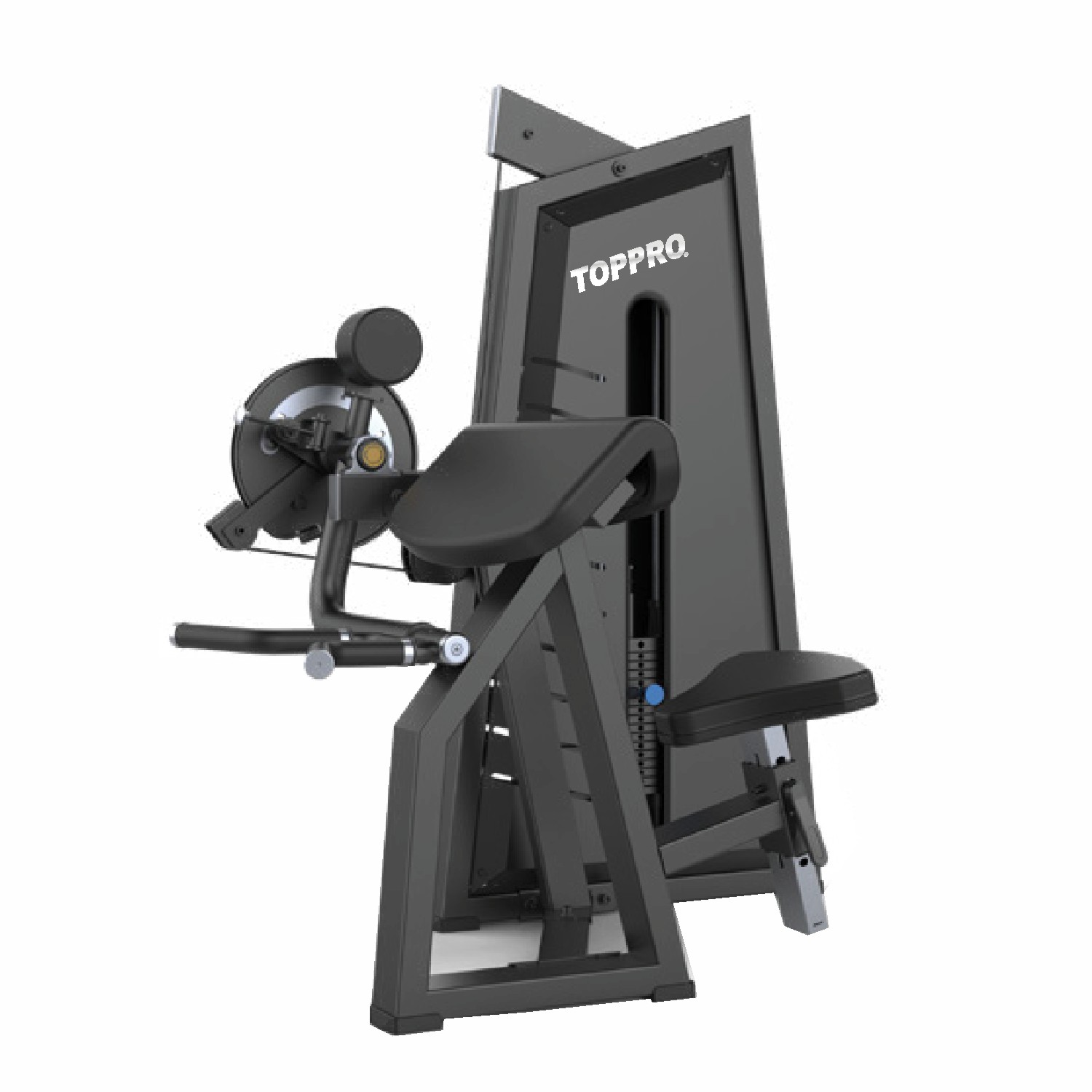 Camber Curl & Triceps