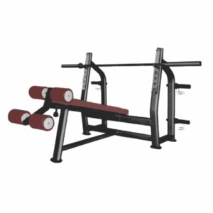 DECLINE BENCH