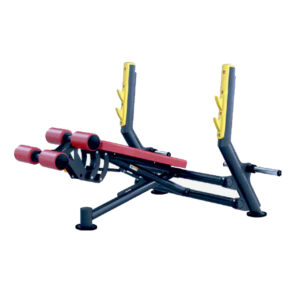 DECLINE PRESS BENCH