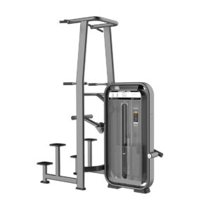Dip/Chin Asssit TP-4007