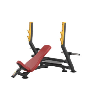 INCLINE PRESS BENCH TP-7325 A