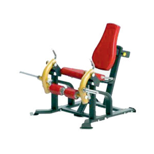 LEG EXTENSION