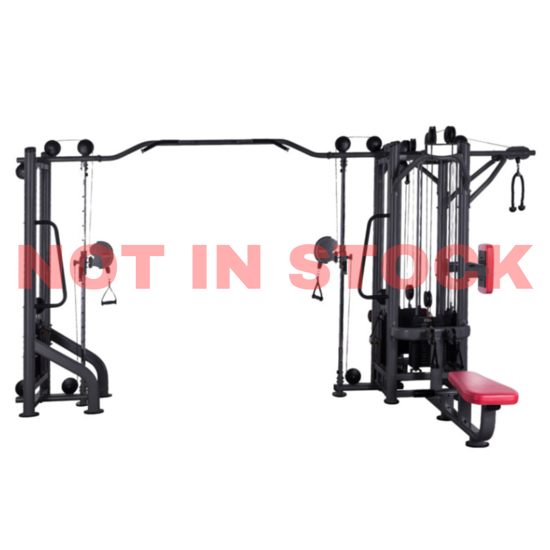 MULTI GYM TP-3000