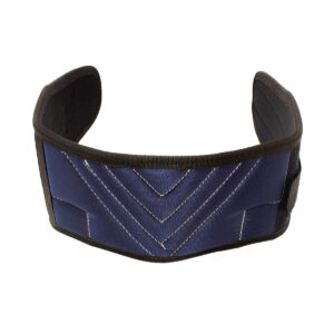 POWER LIFTING BELT NET PACK 6″ COLOR: BLUE WB-02