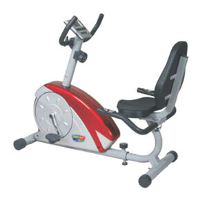 RECUMBENT BIKE TP-630 R