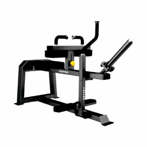 SEATED CALF