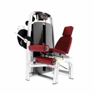 SEATED LEG CURL