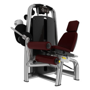 SEATED LEG CURL TP-6001/8001