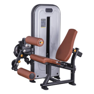 SEATED LEG EXTENSION/LEG CURL TP-8523