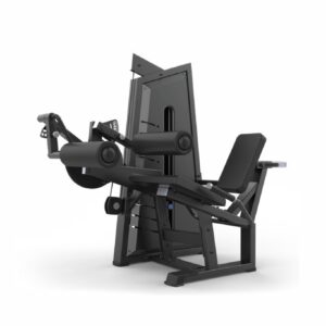 Seated Leg Curl