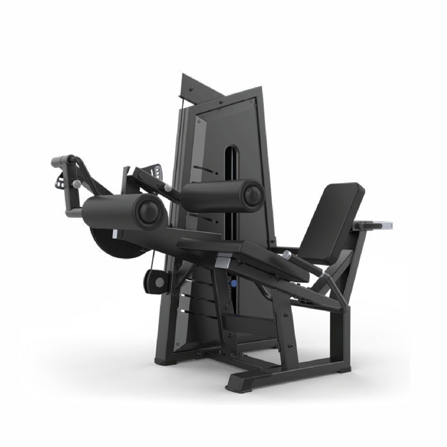 Seated Leg Curl