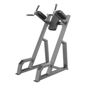 VERTICAL KNEE UP/DIP TP-3047